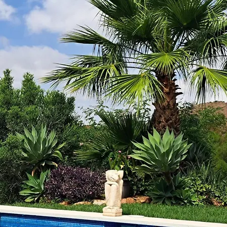 Modern Retreat In Beautiful Countryside. Mijas